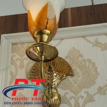 Đèn tường PTDT5022-1D