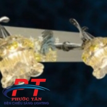 Đèn soi tranh PTST2519-2