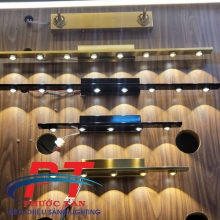 Đèn soi tranh vàng PTST445-5G