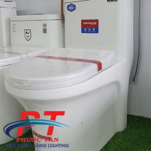 Bồn cầu Matsuno MSK5008