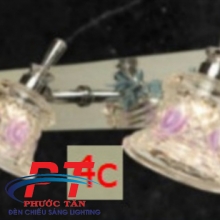 Đèn soi tranh PTST2500-3