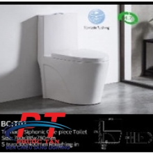 Bồn cầu Folard FLT01