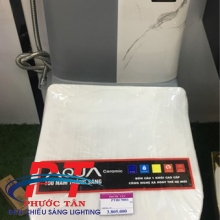 Bồn cầu xám sọc trắng
