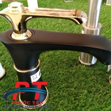 Vòi lavabo V3002A Teady