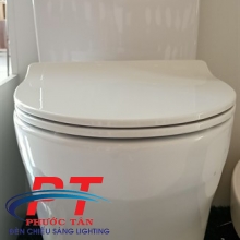 Bồn cầu Toto CS769DRT8