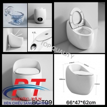 Bồn cầu BC-T09