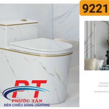 Bồn cầu xả lệch vân đá