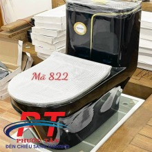 Bồn Cầu PTBC822