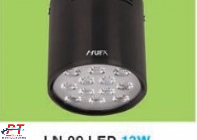 Đèn bơ 12W vỏ đen AST(D100xH100) (cái)