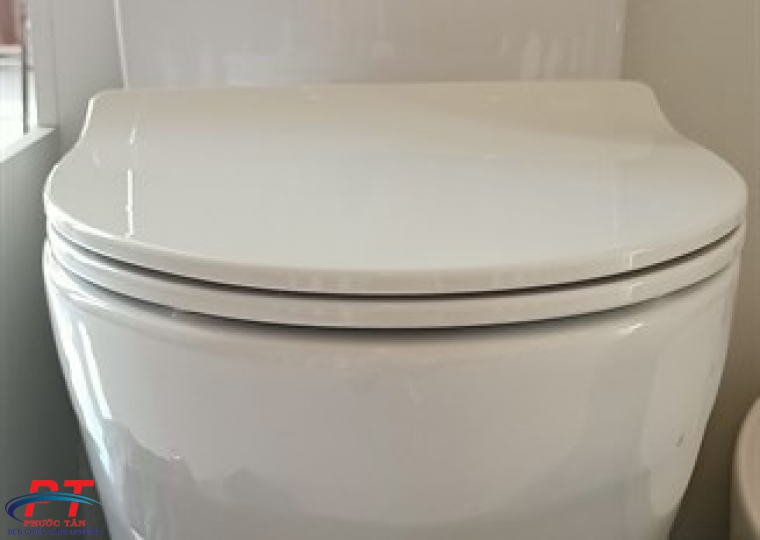 Bồn cầu Toto CS769DRT8
