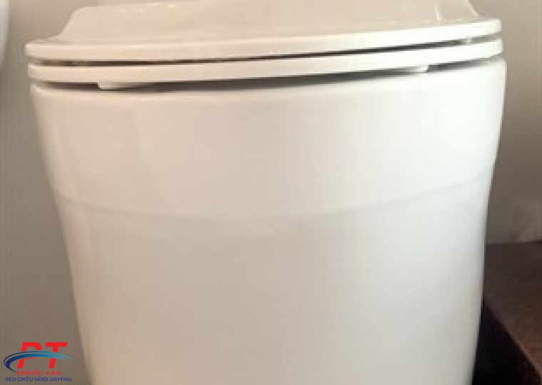 Bồn cầu Toto MS885DT8